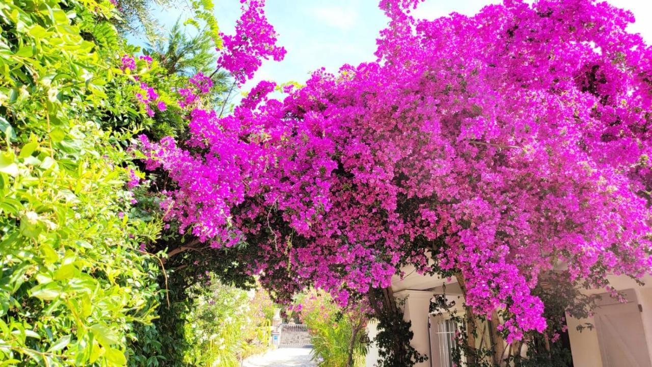 Villa Provencale A Sainte Maxime, Golf De Saint Tropez Exterior foto