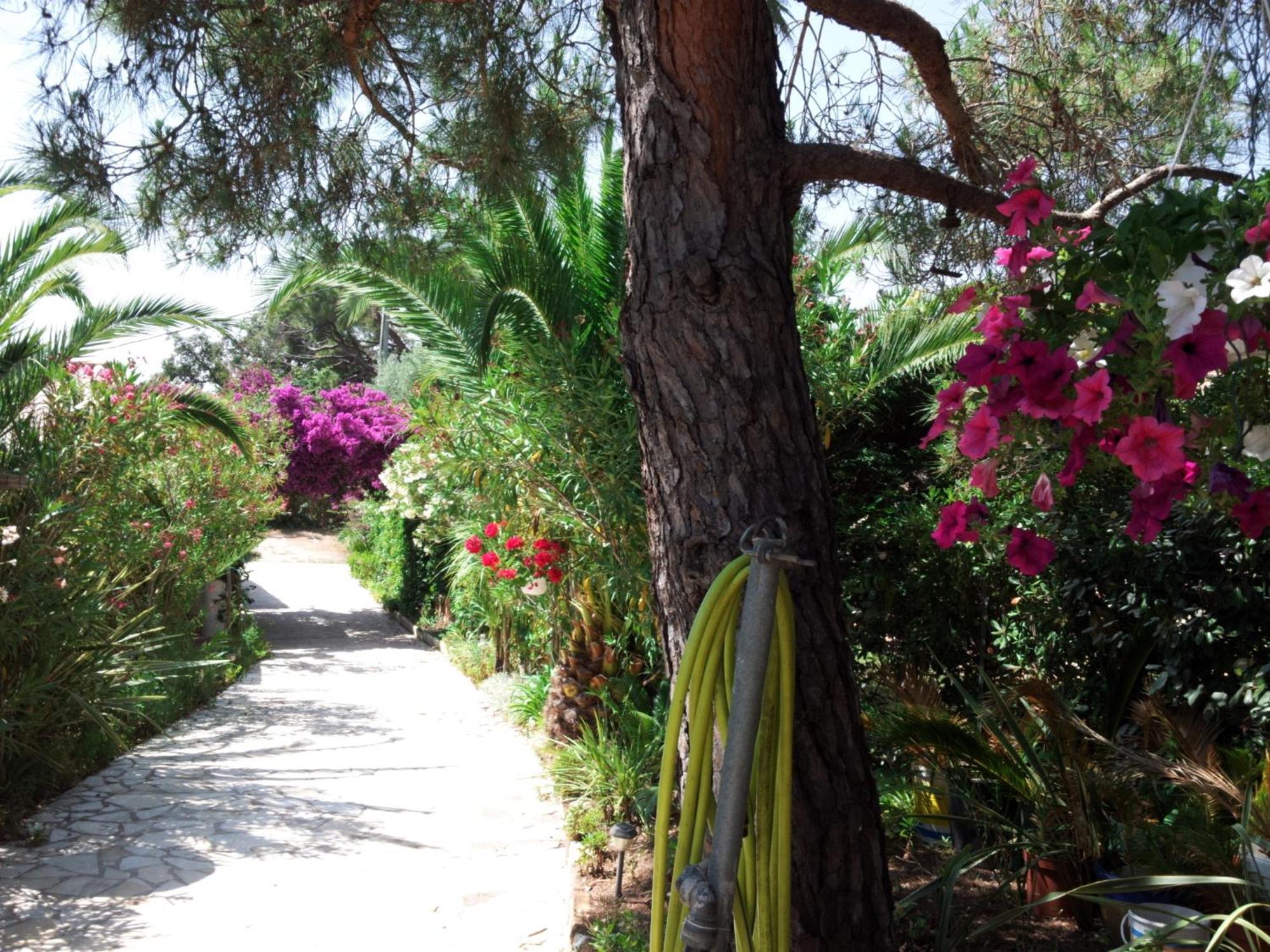 Villa Provencale A Sainte Maxime, Golf De Saint Tropez Exterior foto